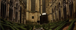 Utrecht Guild Walking Tour