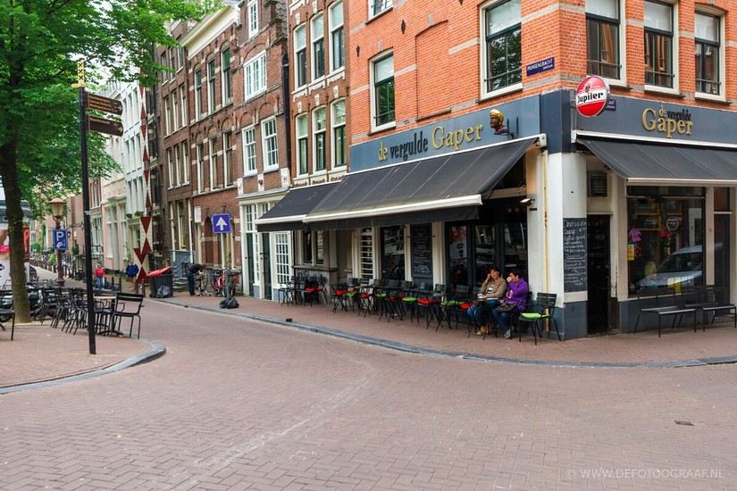 Cafe De Vergulde Gaper