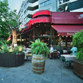 Francucci's