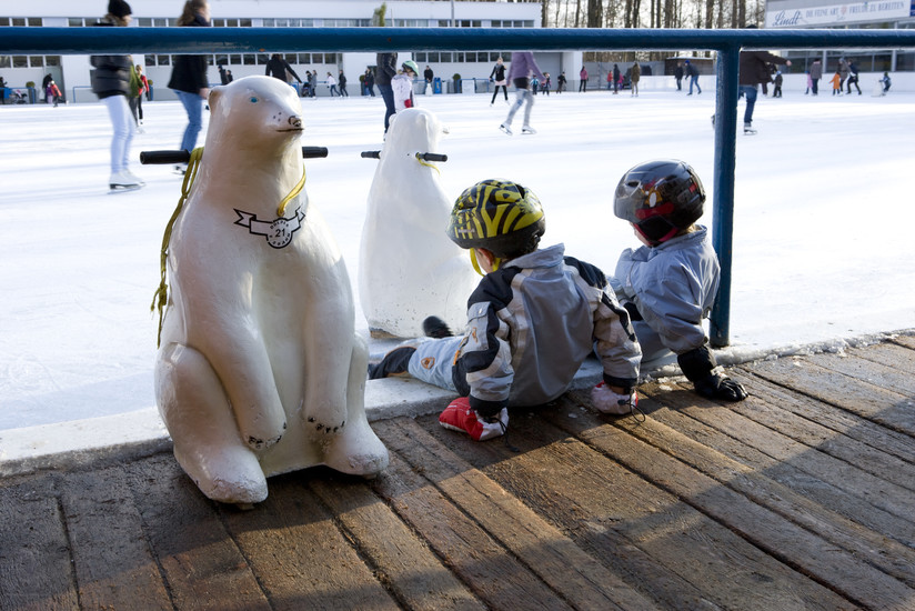 Skating rink Dolder