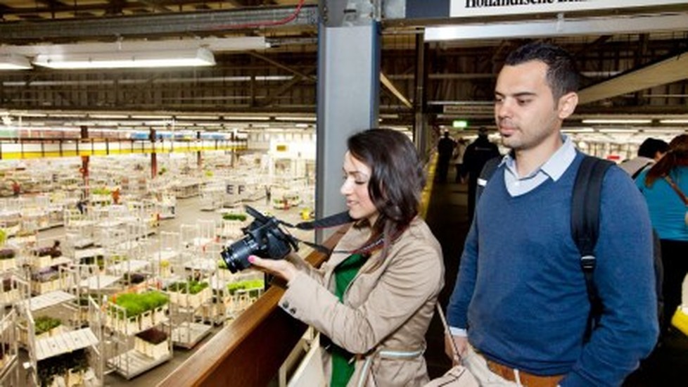 FloraHolland