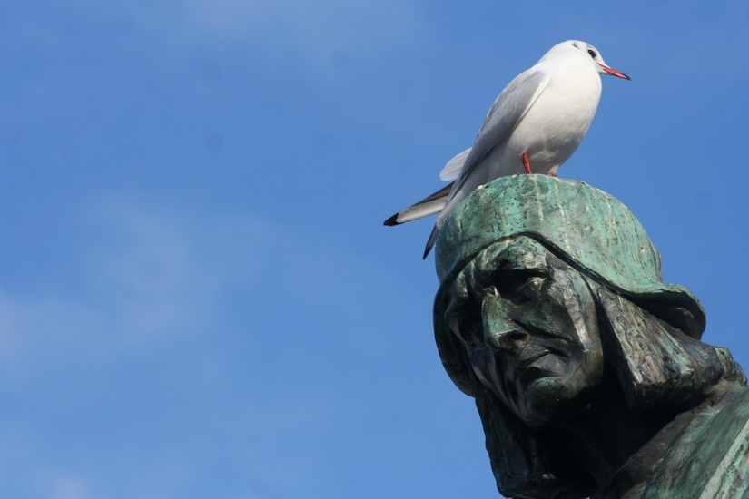 Bekende Bosschenaar (1): Jheronimus Bosch