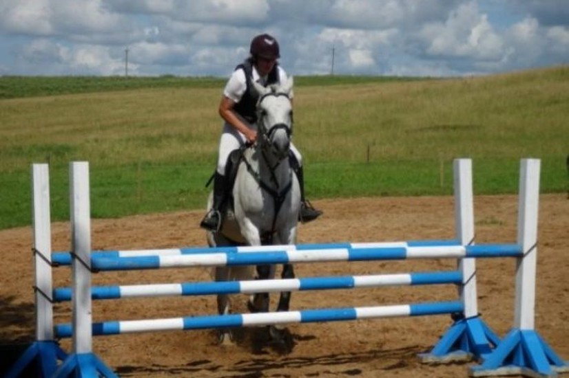 Karl-Erik Horse Farm