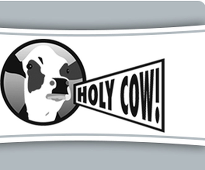 Holy Cow | Restaurants | Zurich
