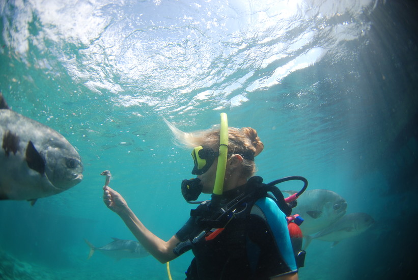 Scuba Lodge Dive Center Pietermaai | Pietermaai District | Curacao