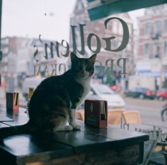 Gollem's Proeflokaal