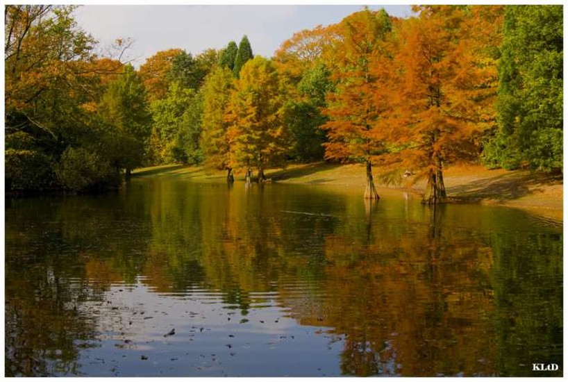 Wandelbos