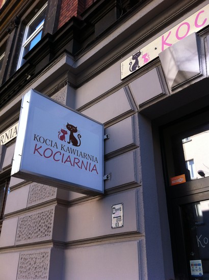 Cat Café Kociarnia - Krakow Coffee & Tea - HappyCow