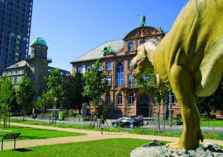 Senckenberg
