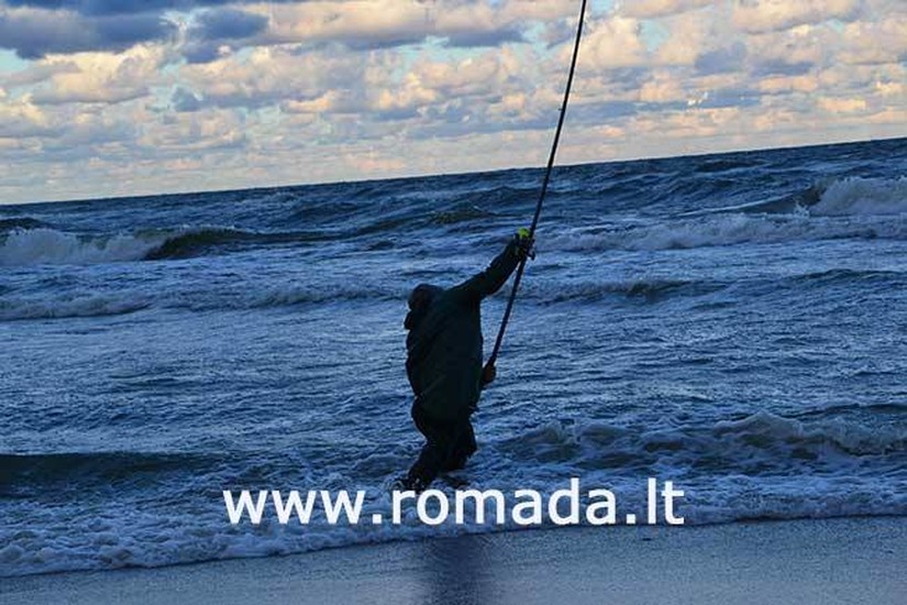Romada | Everyday shopping | Klaipėda