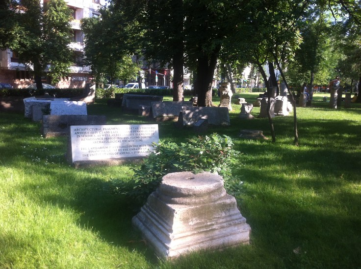 Doctor's Garden