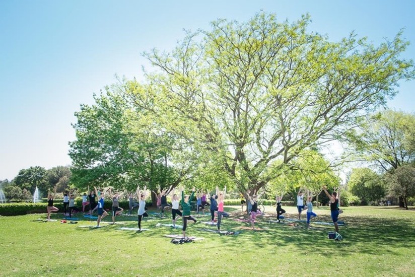 Yoga in the Park Johannesburg