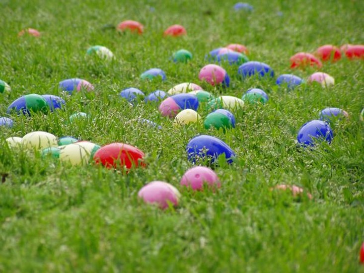 Easter Egg Hunt at Joburg Zoo Johannesburg
