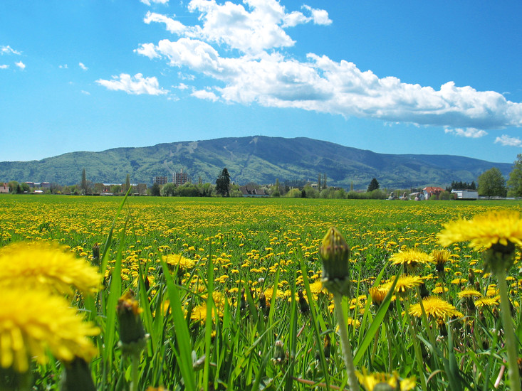 Pohorje