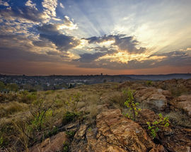 Melville Koppies Nature Reserve Walks and Hikes