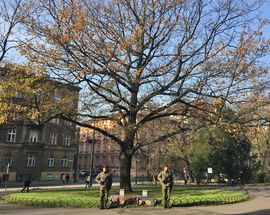 'Sonderaktion Krakau' | The Nazi Attack on Jagiellonian University