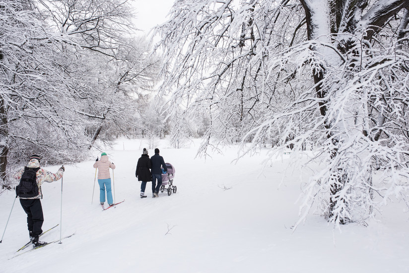 Skiing in St. Petersburg