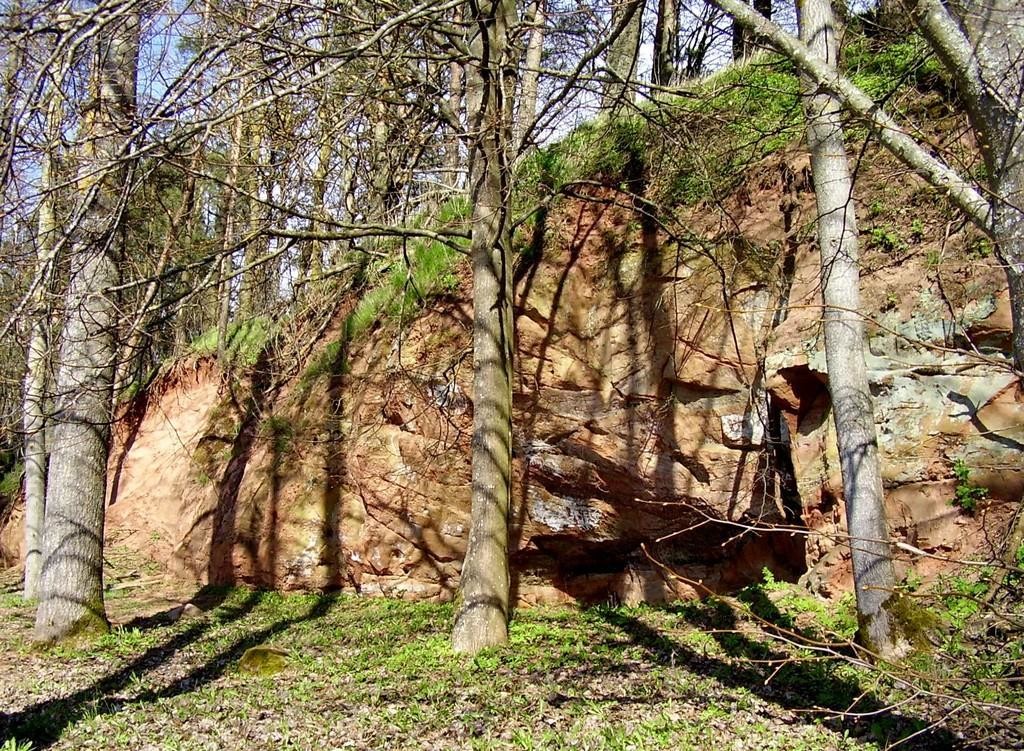 Tamme Outcrop