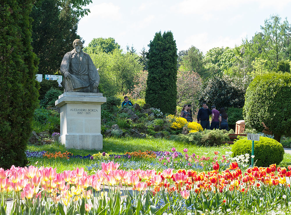 Romania Frumoasa » Gradina Botanica Alexandru Borza Din Cluj 88A