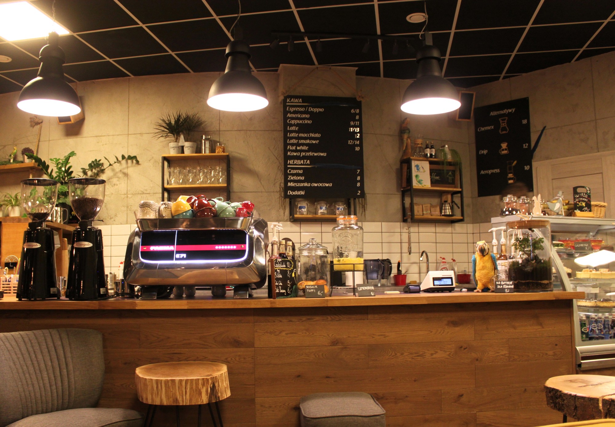 Parrot Coffee Cafes Wroclaw