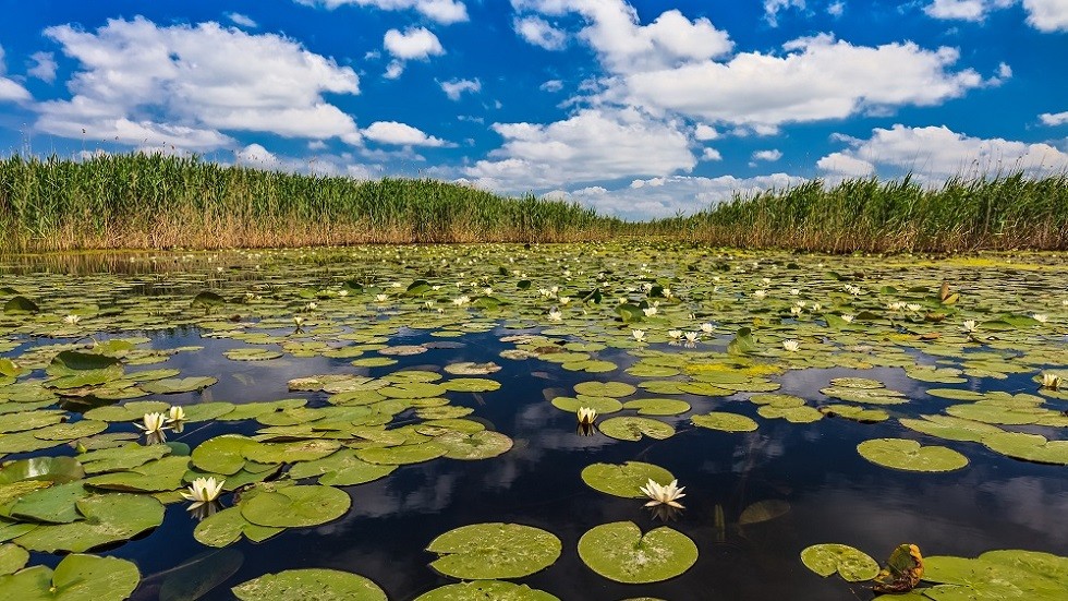 The Danube Delta Danube Delta