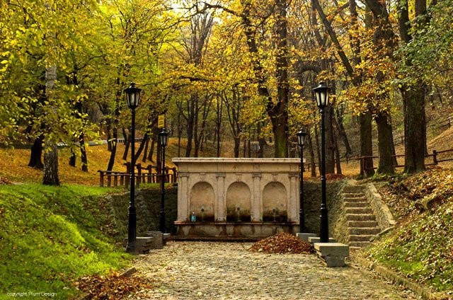 Košutnjak