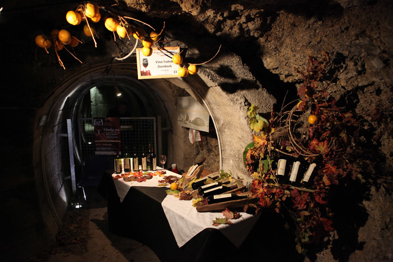 Wine Route in the Tunnels under Kranj