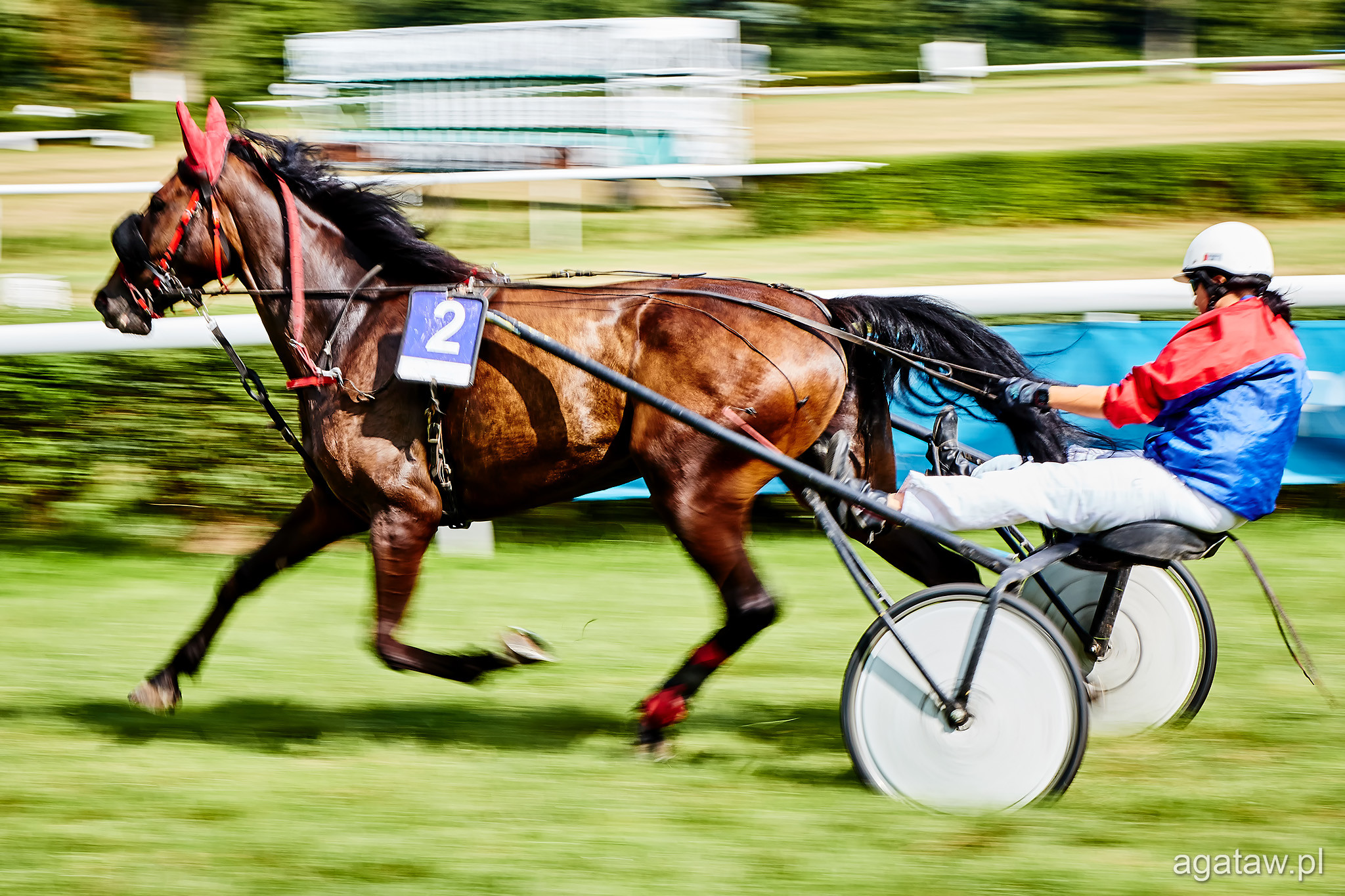 horse-racing-wroclaw