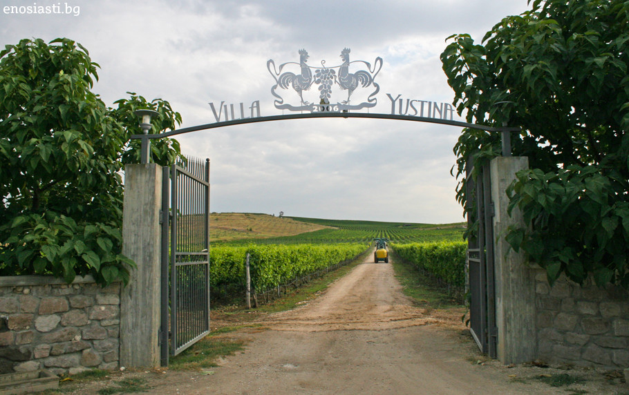 Wine and Boer Goat Meat