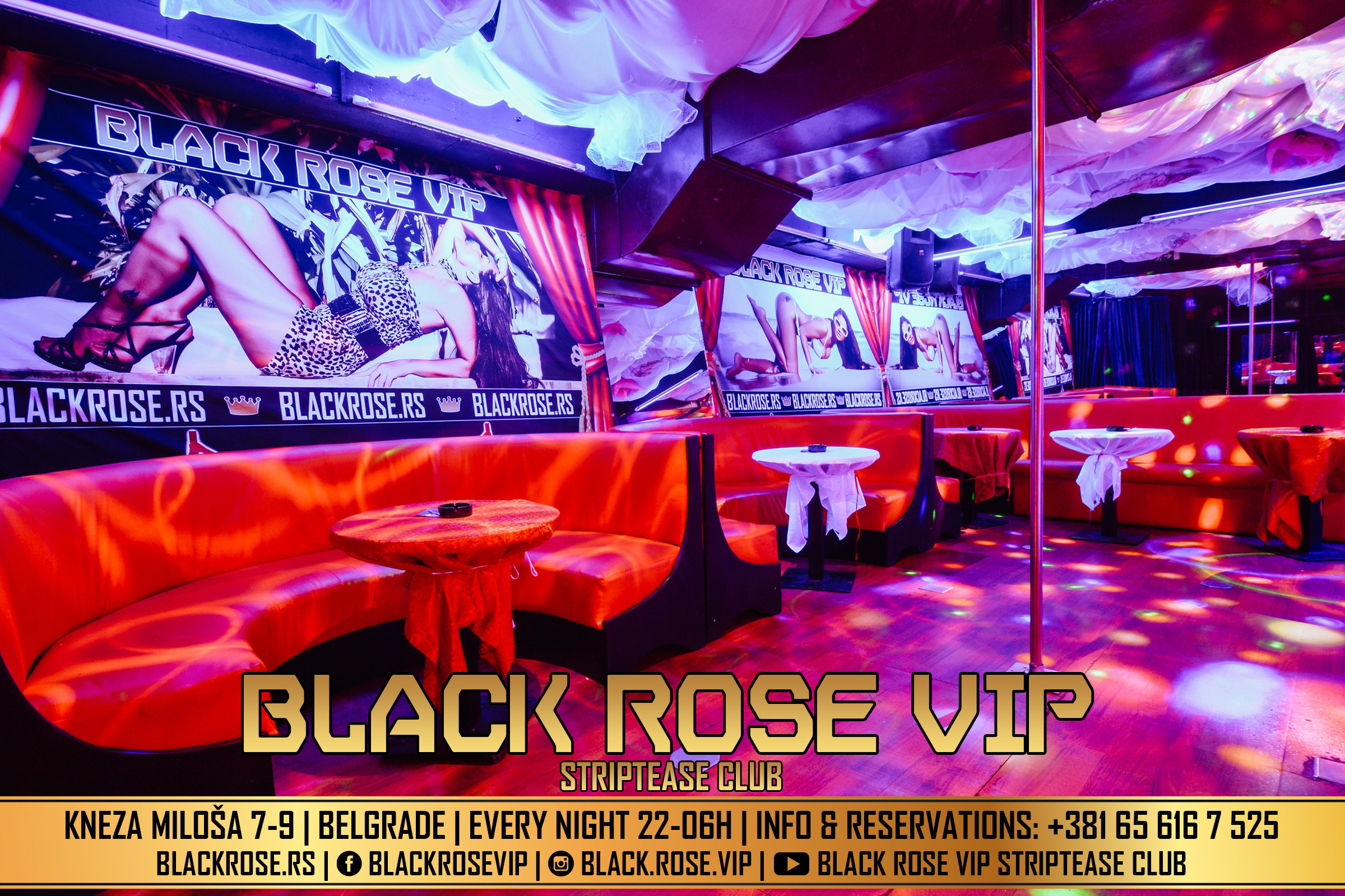Black Rose VIP | Adult Entertainment | Belgrade