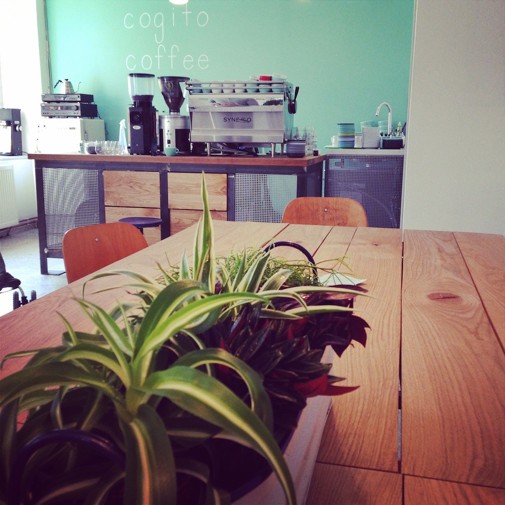 Cogito Coffee Shop
