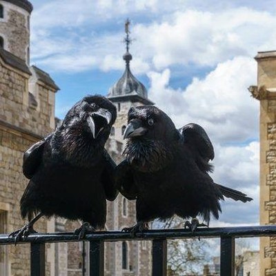 Ronk Ronk Ghost and Folkore Tours