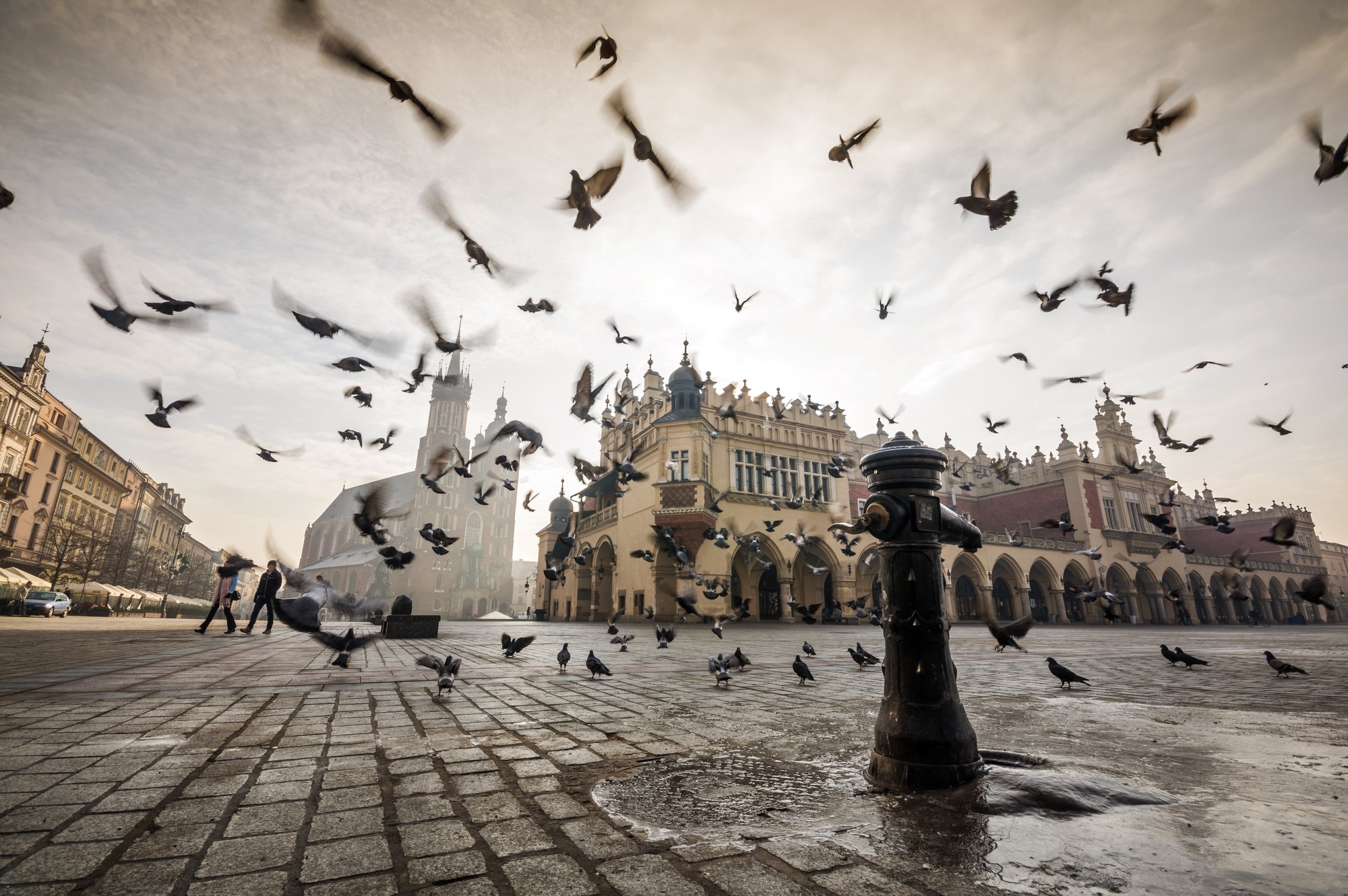Winter Wonders: What to Do in Kraków in the Winter