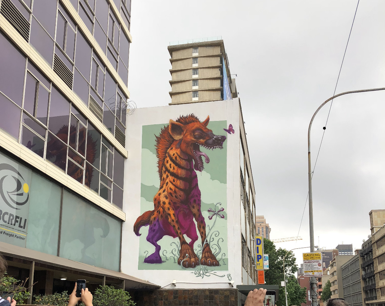 Braamfontein mini graffiti tour with street artist Bias Johannesburg