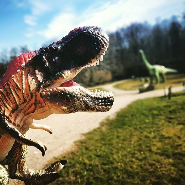 Dinosaur Park | Leisure & Wellbeing | Klaipėda