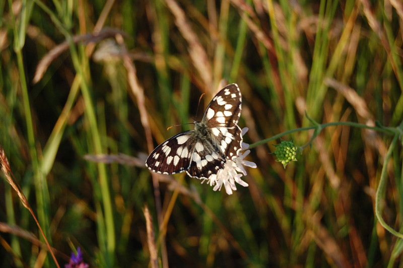Golden Sands Natural Park