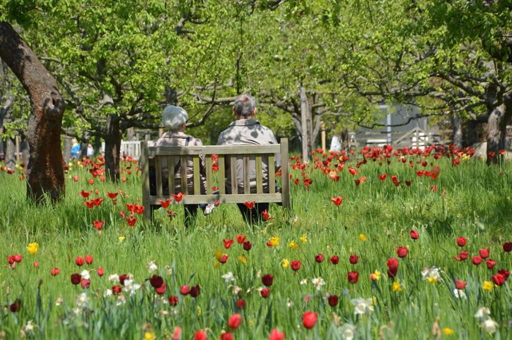 Britzer Garten | Sightseeing | Berlin