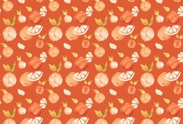 Linen & Amber Studio