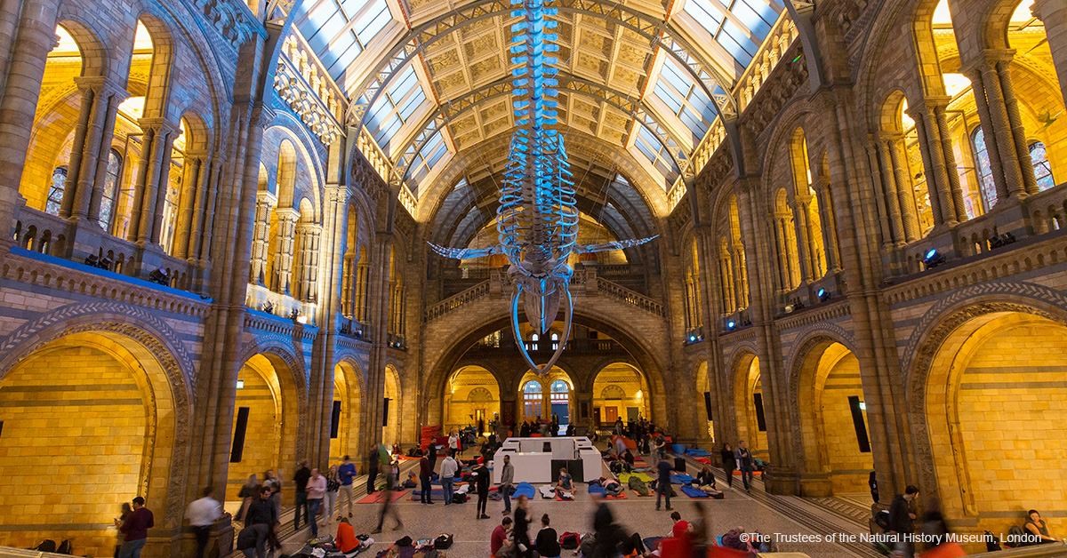 Natural History Museum