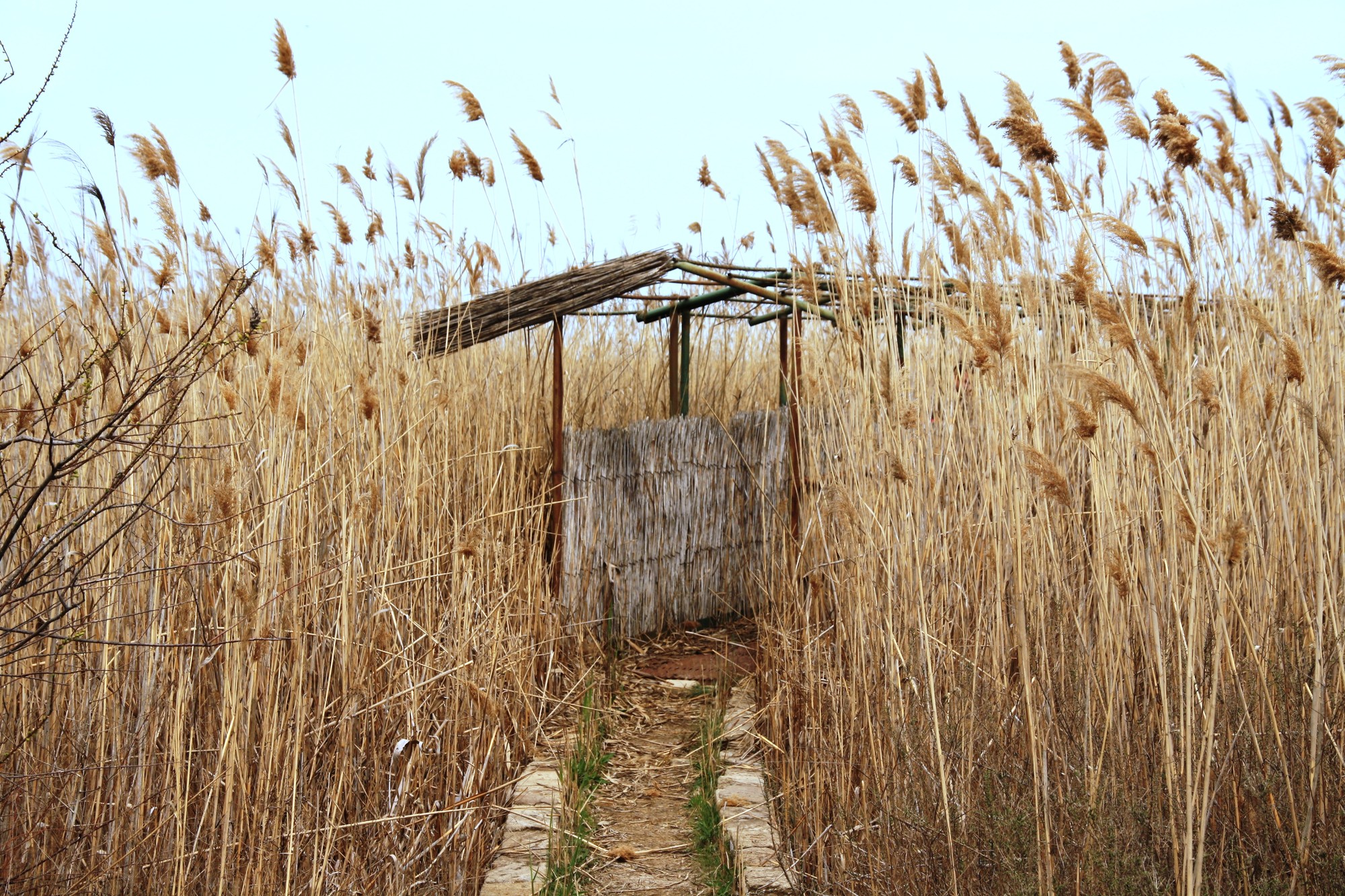 Shirvan National Park Sightseeing Baku