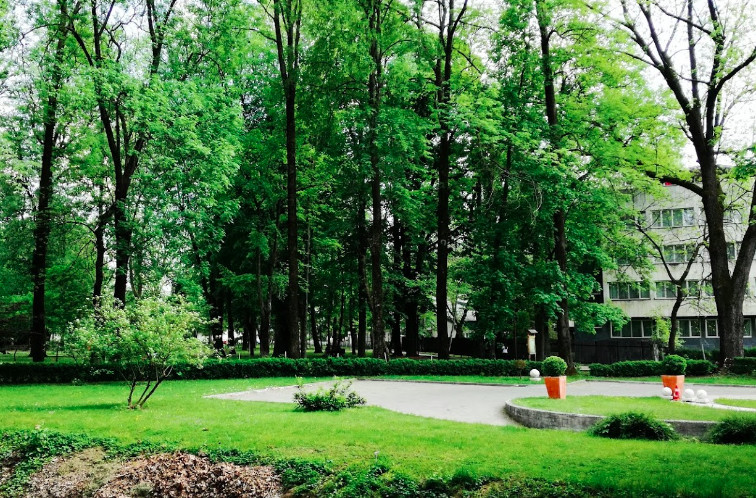 City Park