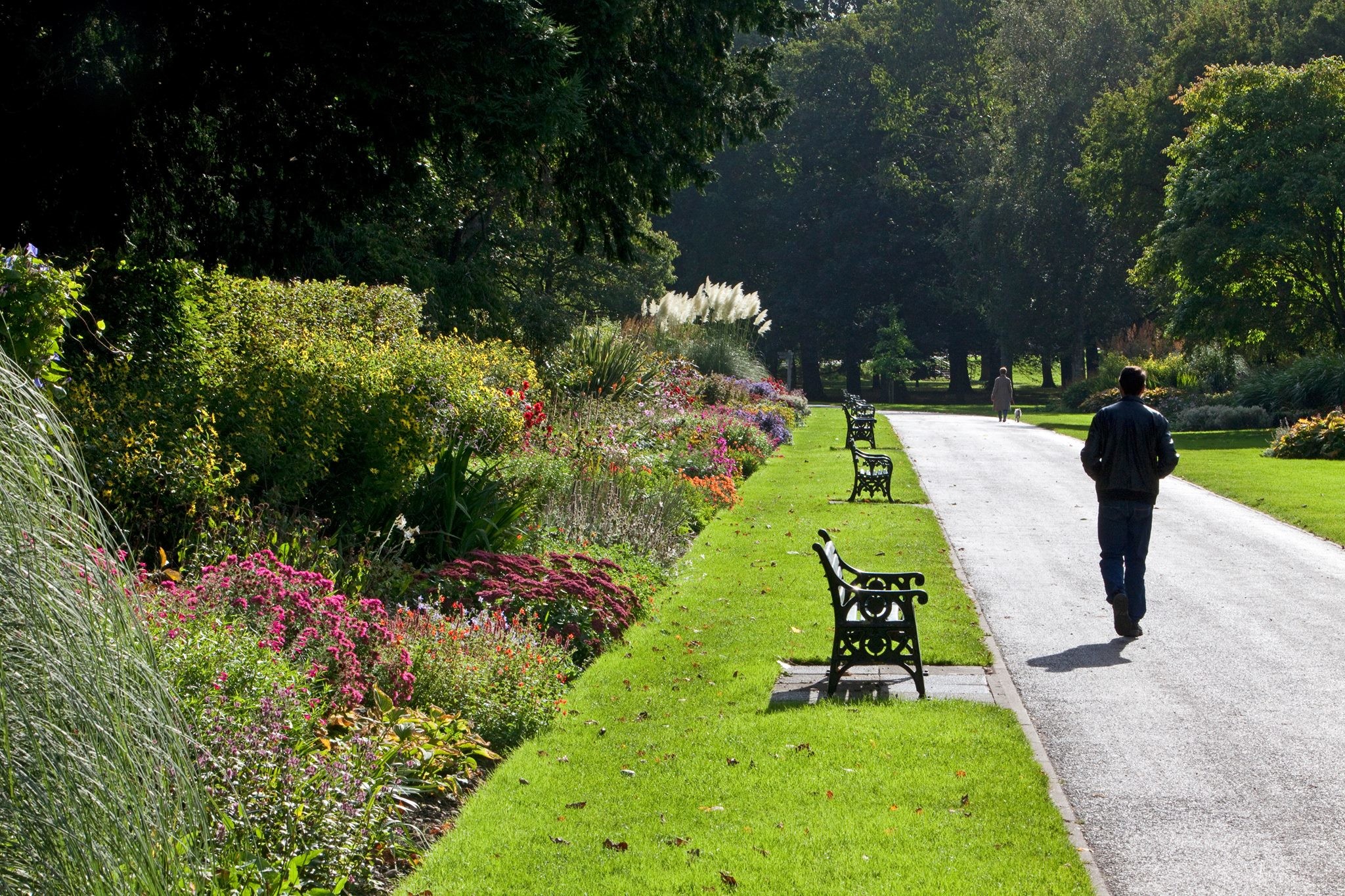 Bute Park | Sightseeing | Cardiff