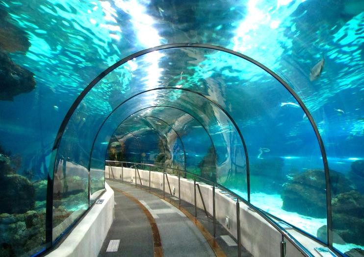 L’Aquarium de Barcelona Barcelona for Kids Barcelona