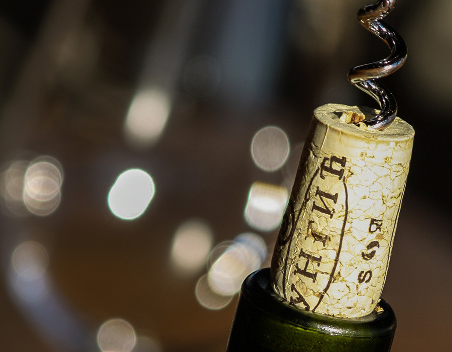 Jungić Winery Tours