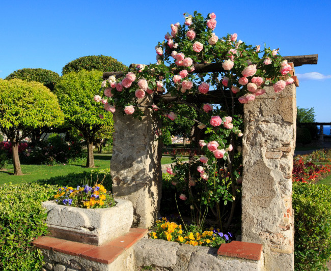 Monastère de Cimiez
