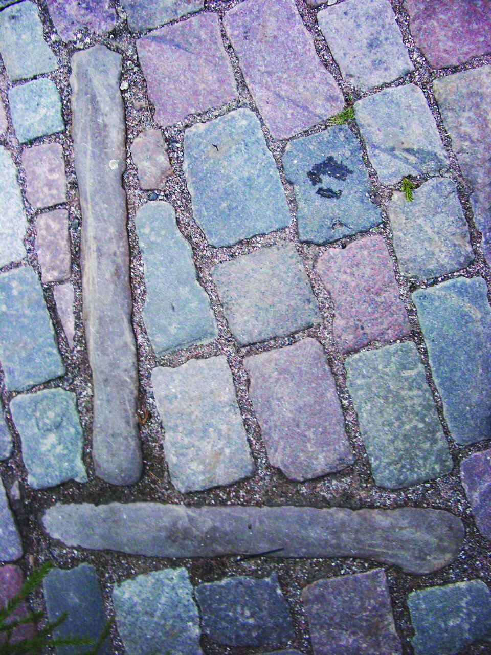 L Marks the Spot