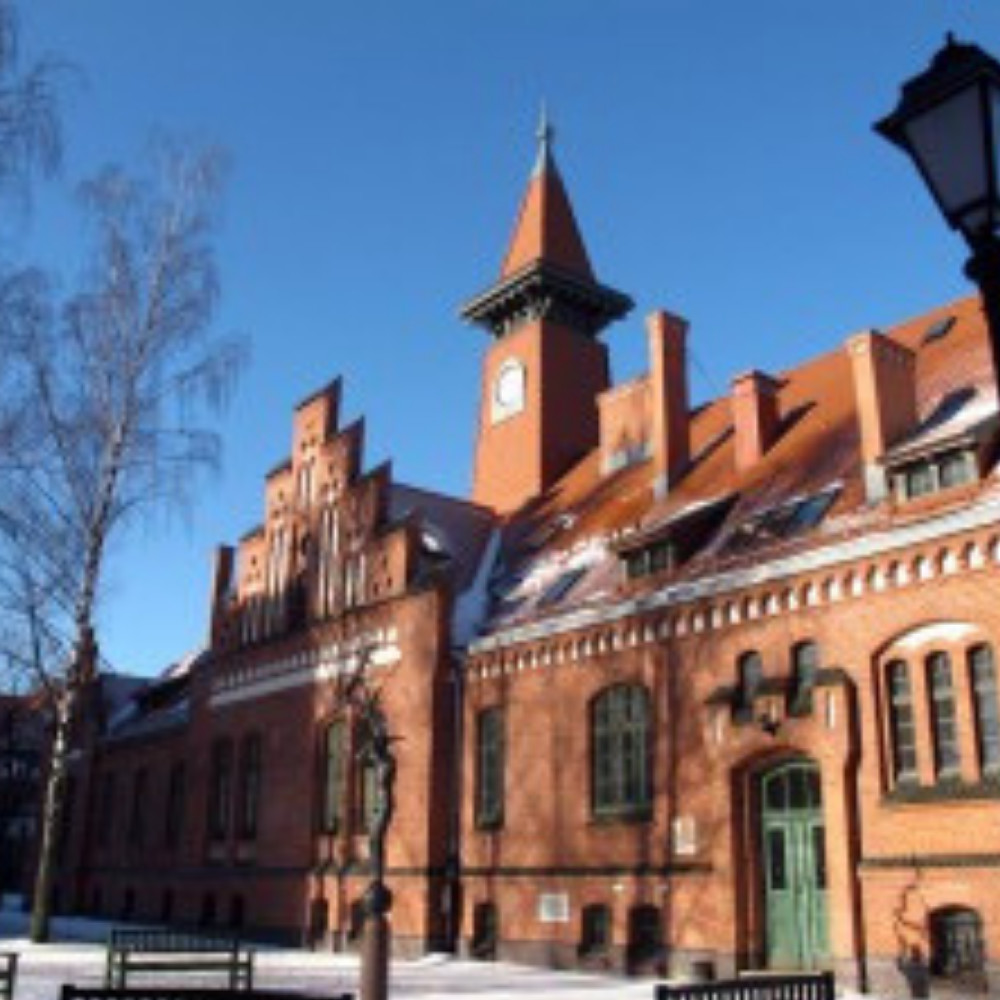 Baltijos Regiono Istorijos ir Archeologijos Institutas