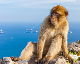 24 Hours in Gibraltar