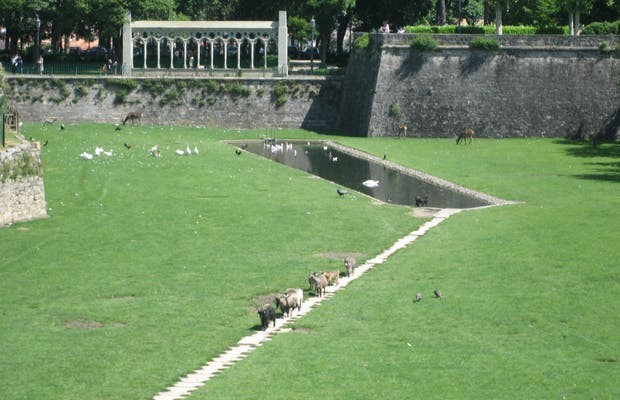 Taconera Park