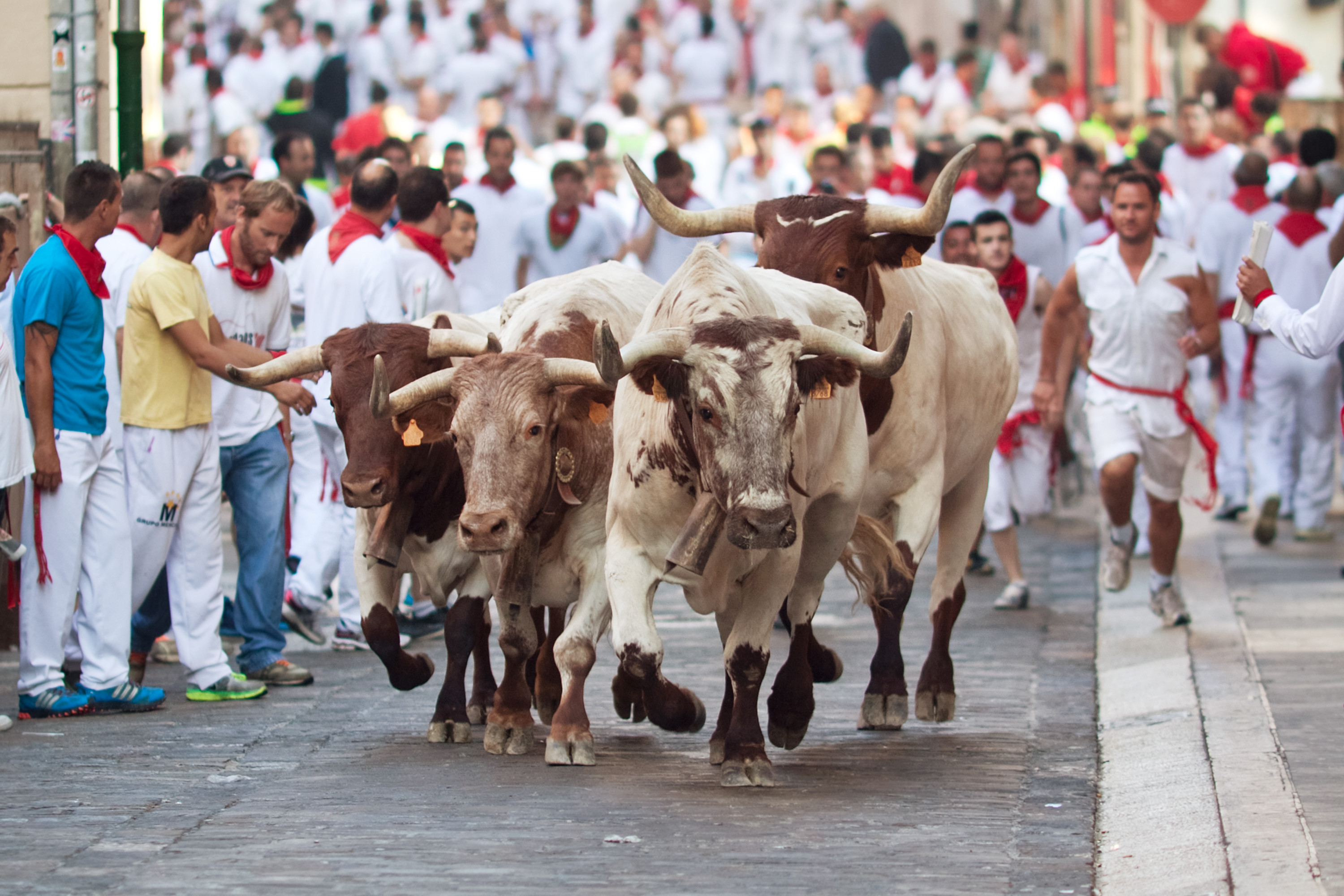 Running of the Bulls